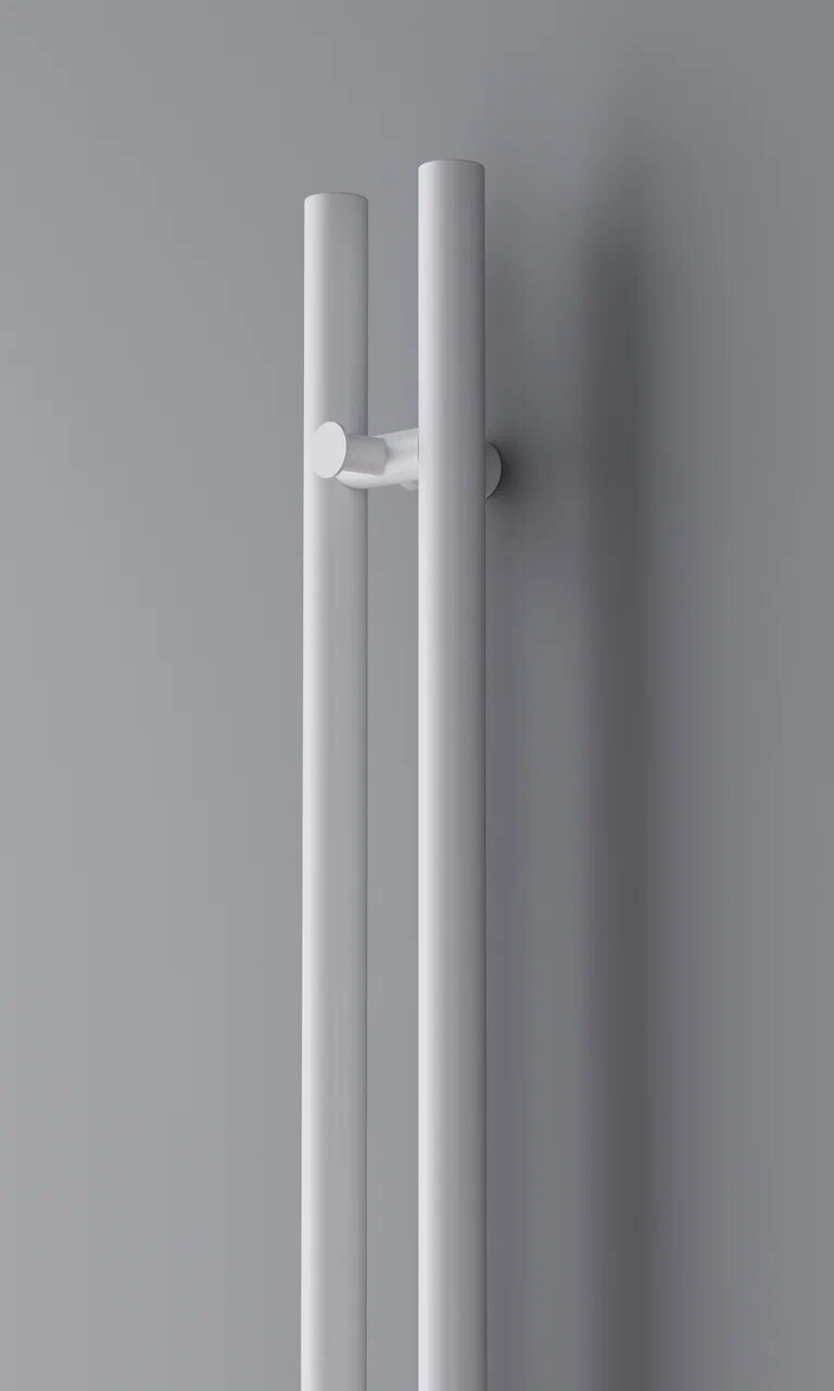 RAY V2 electric