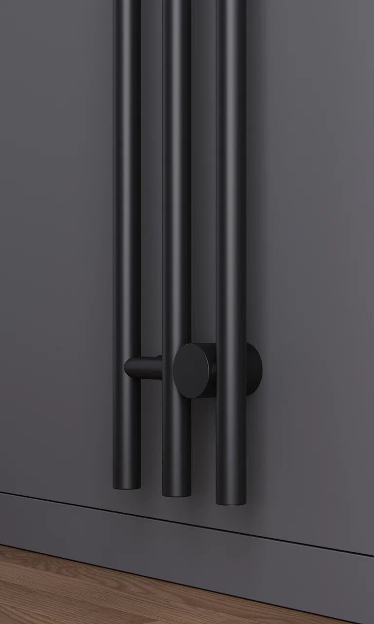 RAY V3 electric 