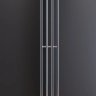 RAY V4 electric  
