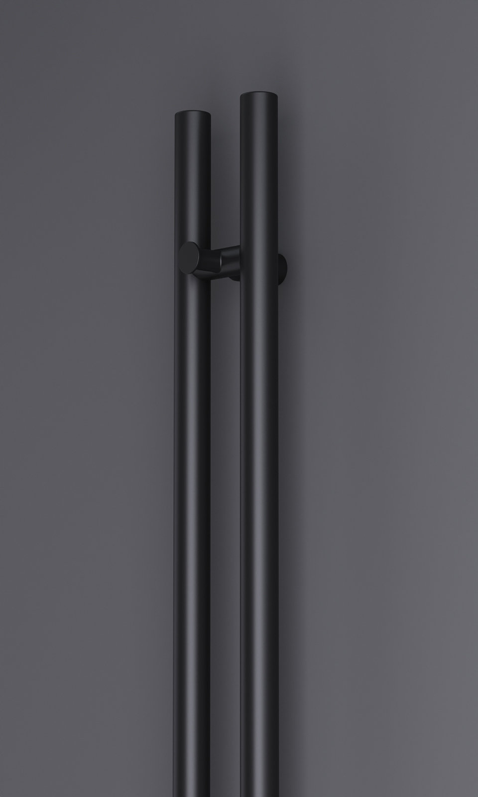 RAY VO2 electric 